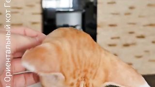Неудобное интервью????????