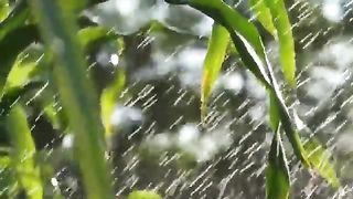 Sura yeasin