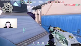 a_babybay king ace is back
