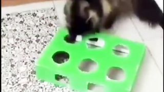 Найду,не спрятать,нор то сколько!!!????