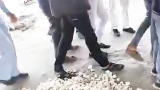 Today Mandi garlic rate