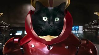 CAT-Iron Man - starring my cat OwlKitty