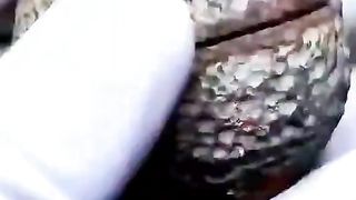 How to get Stone House to make sure you are
