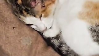 Çopur’un herkese çok selamı varmış