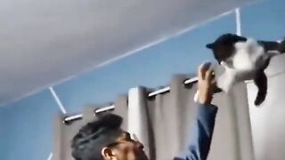 entah apa yang merasuki