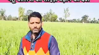 Wheat crop fertilizer