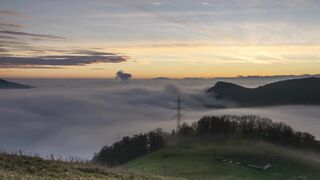 Morning Fog