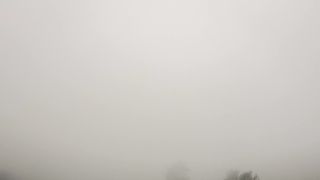 morning mist