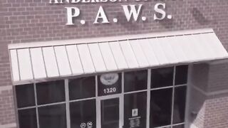 We broke a dog out of the shelter! #dog #animals #shelterdogsaturday
