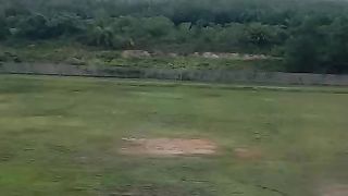 Ready for Landing
