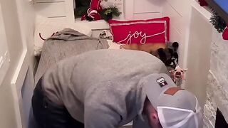 My dog pulled the meanest prank!