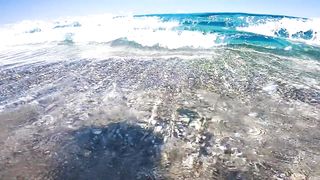Viewing suggestion Full brightness. Experience the super strength of the jelly sea