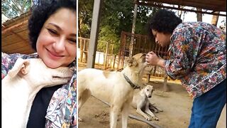 Sania Saeed's request to people to take care of street dogs