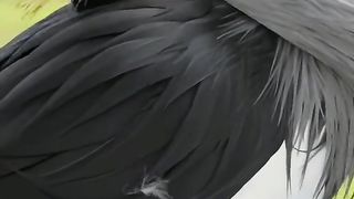 صبح بخیر 8