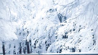 Winter ❄️☃️❄️