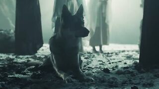 POWERWOLF - Beast Of Gévaudan
