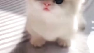 Funny actions 187