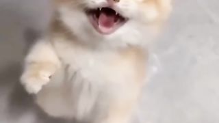 Funny actions 189
