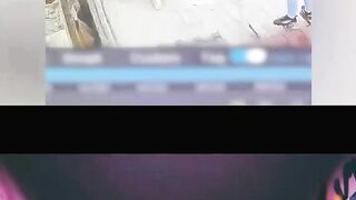 Ridiculous Incident vol 238