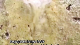 Motivasi Hidup Bagian 6