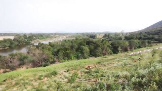 gandipalem dam view