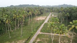 Heraliyawala view