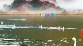 BEATIFUL NATURE