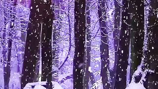 Winter ❄️☃️❄️ 2