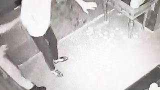 they're not scared at all