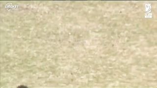 West indies all wickets in 2nd innings