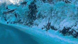 Winter - Austria