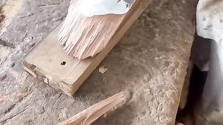 Cricket bed making feel so satisfying