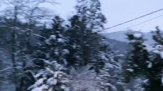 "Marvel at the Wild Beauty: An Ode to Nature in Video"