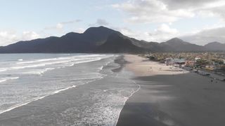 "Enchanting Earth: A Cinematic Celebration of the Natural World"