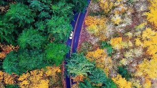 "Eternal Echoes: A Cinematic Ode to the Untamed Beauty of Nature"