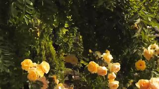 "Nature's Ballet: A Visual Poem of Earth's Untouched Elegance"