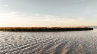 "Vivid Vistas: A Cinematic Odyssey into the Heart of Nature"