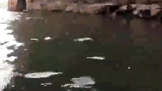 Found Box Full of Human Ashes Underwater (Swimming)