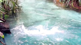 Wisata alam indonesia
