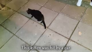She Was Hit By A Car, Couldn't Breathe, Couldn't Walk But Everybody Ignored Her