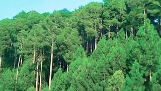 The Video of a Beautiful Place Kashmir
