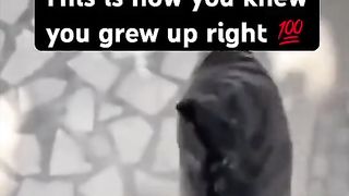 Childhood memories ???? 2