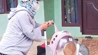 Vaksin Kucing Virus Mematikan