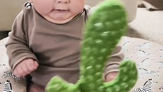 Baby with kaktus toys