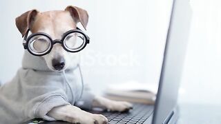 Smart dog using computer