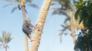 funny videos of Pja 4