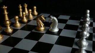 Chessboard Game And Horses Pieces
