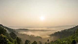 Fog Over The Forest In The Valley