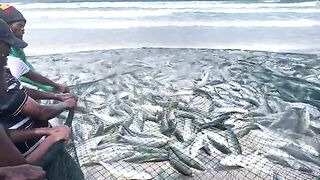 South Africa fishing