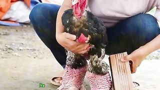 Vietnamese chicken